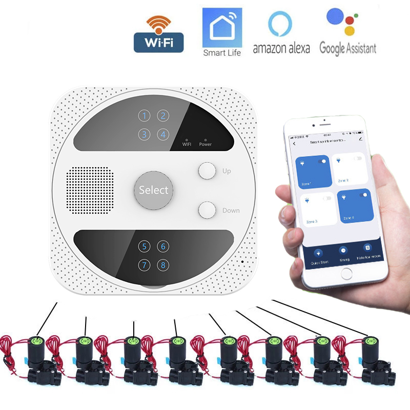 Smart Garden Keeper - WIFI Timer irrigazione intelligente regolatore irrigazione
