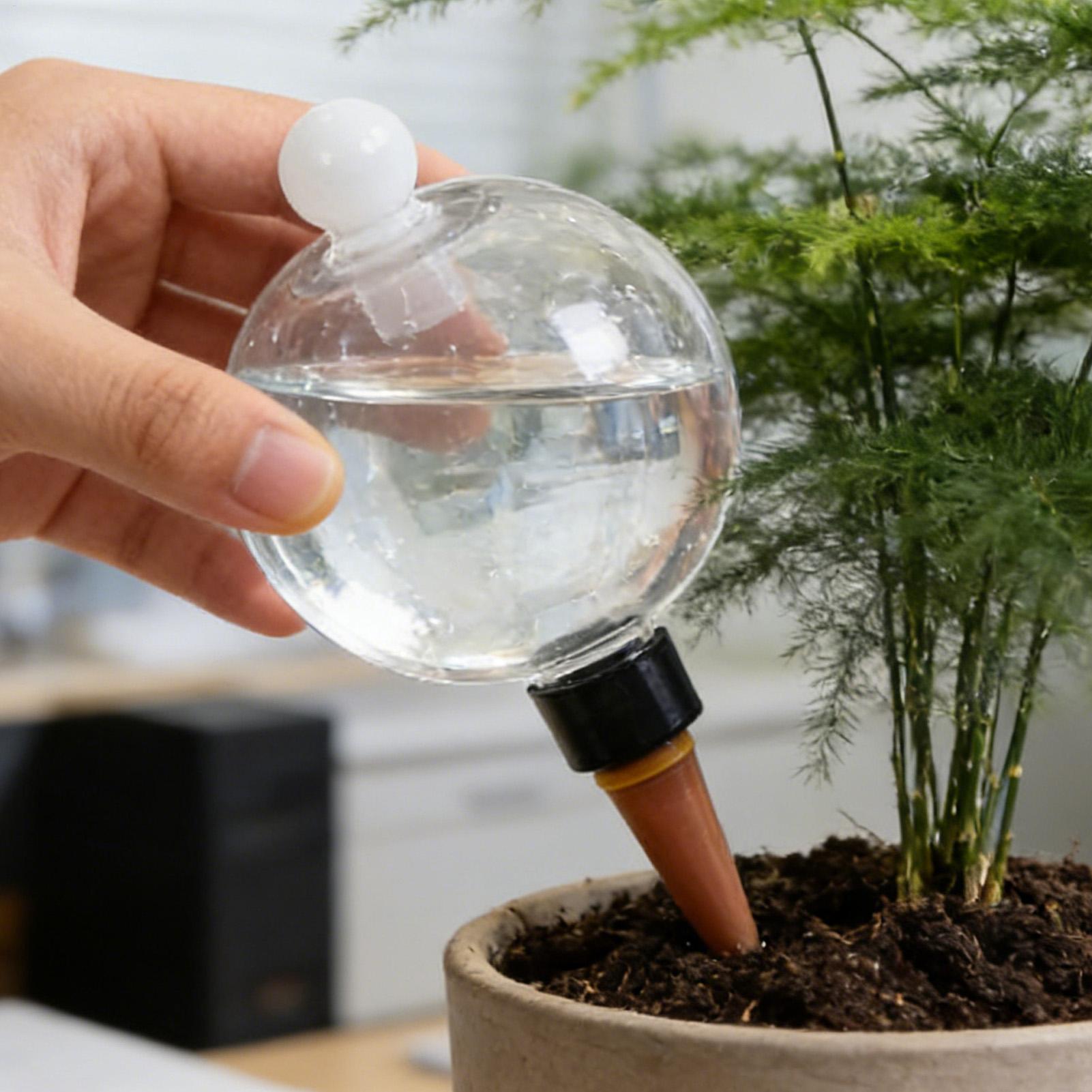 Plant Watering Globe - Set di 4 Sfere in Plastica