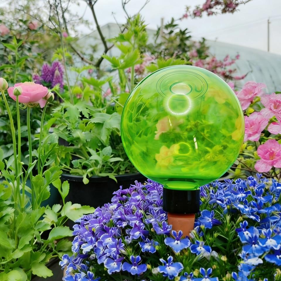 Plant Watering Globe - Set di 3 Grandi Sfere Autoirriganti