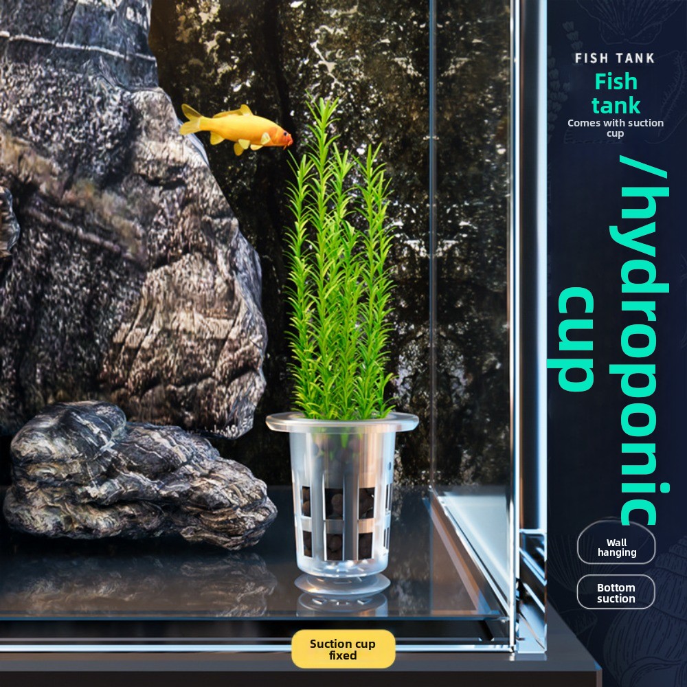 10 Pezzi Vasi Idroponici Trasp - Hydroponic Grow Pod recensione e prezzo
