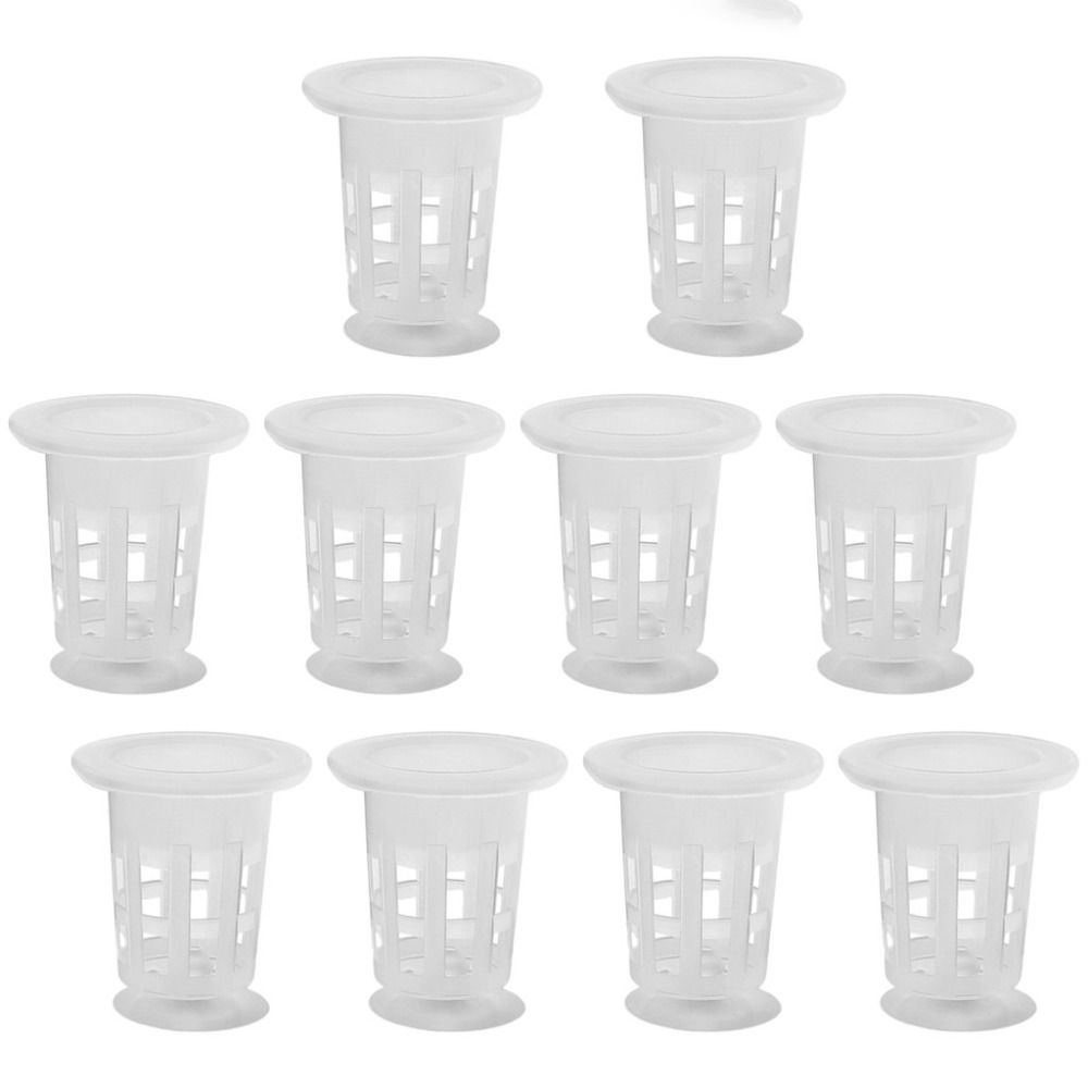 10 Pezzi Vasi Idroponici Trasp - Hydroponic Grow Pod recensione e prezzo