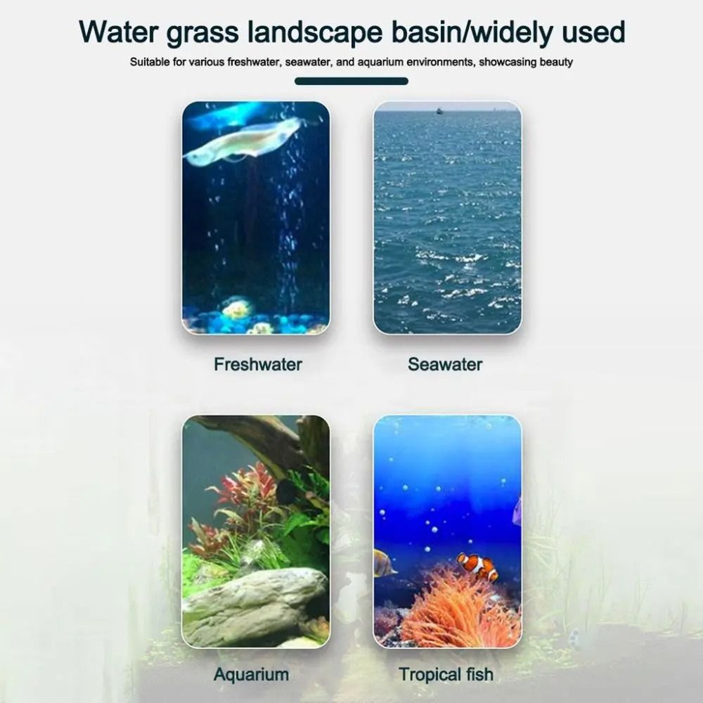 10 Pezzi Vasi Idroponici Trasp - Hydroponic Grow Pod recensione e prezzo