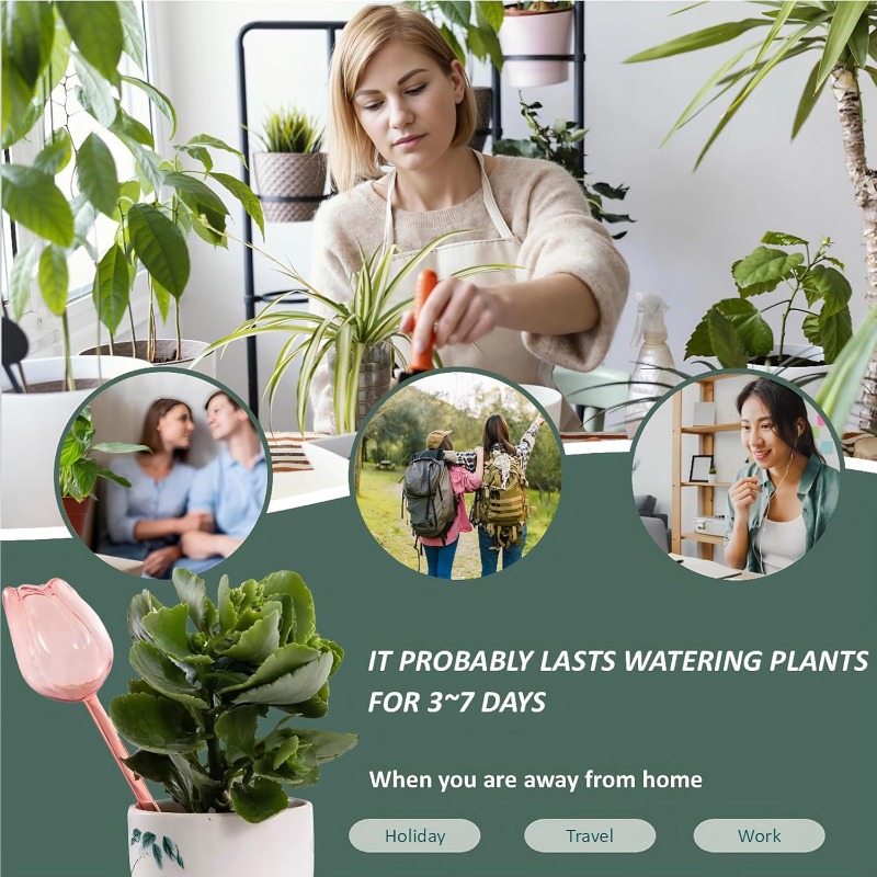 Sfere per Irrigazione a Forma  - Plant Watering Globe recensione e prezzo