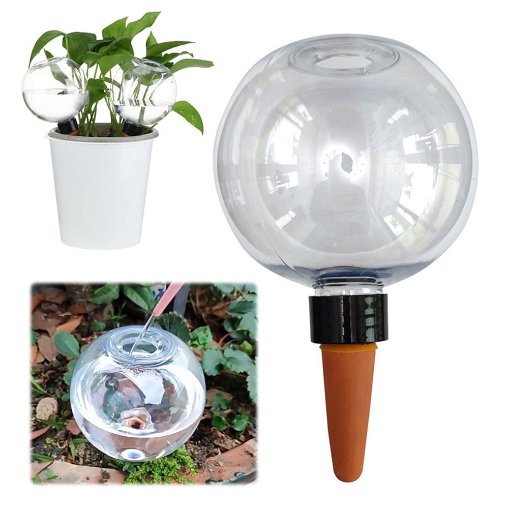 Sistema di irrigazione a gocci - Plant Watering Globe recensione e prezzo