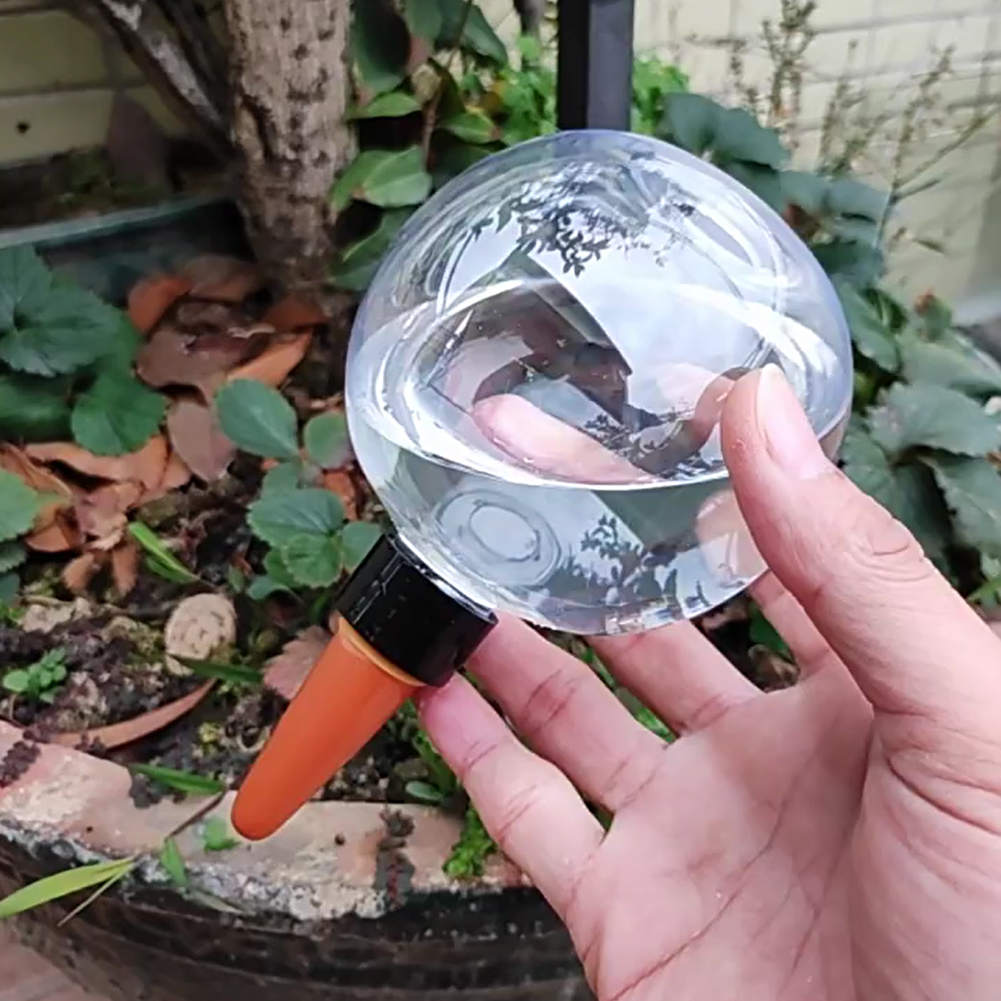 Sistema di Irrigazione Automat - Plant Watering Globe recensione e prezzo