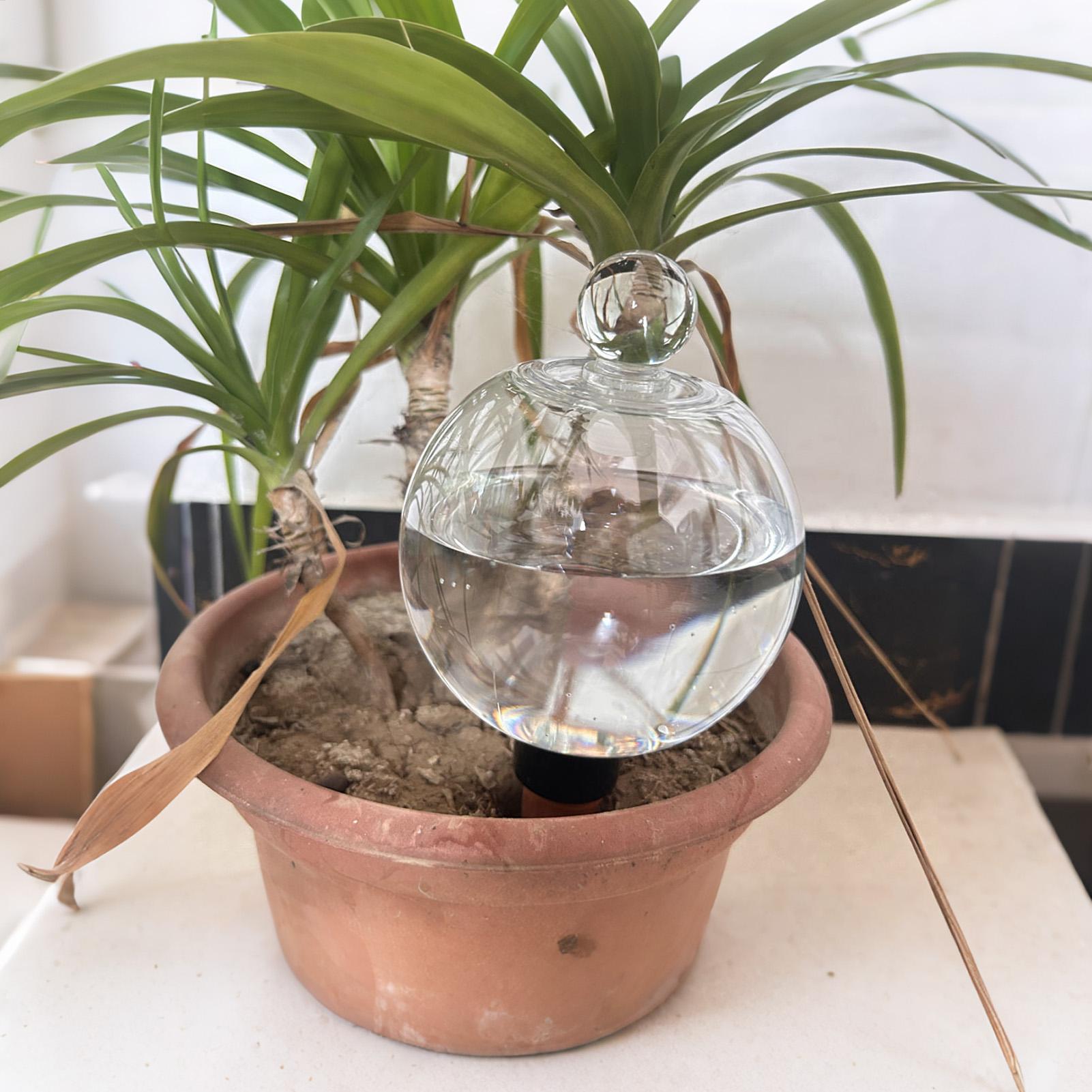 Globi per Irrigazione Piante 4 - Plant Watering Globe recensione e prezzo