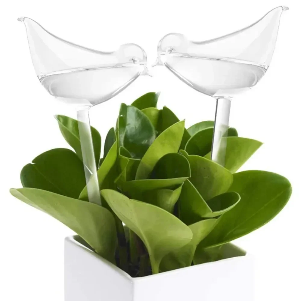 Dispositivo di irrigazione aut - Plant Watering Globe recensione e prezzo