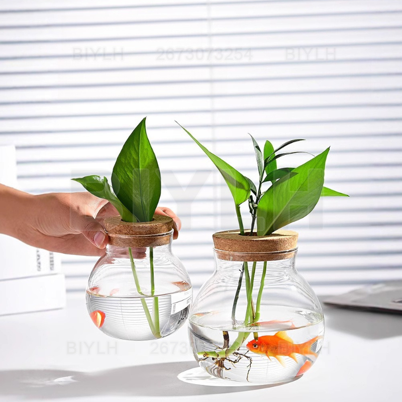 Vaso di vetro per piante idrop - Hydroponic Grow Pod recensione e prezzo
