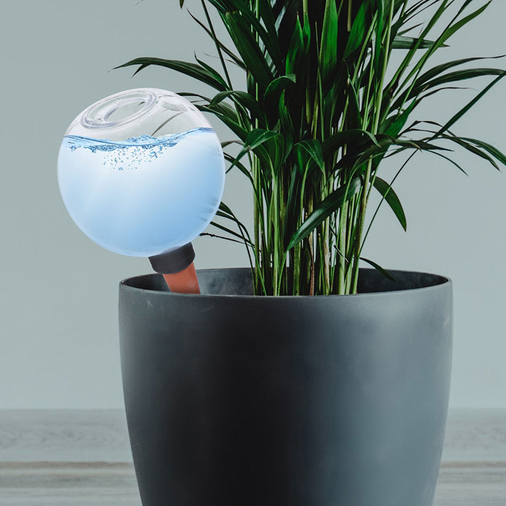 3 Pezzi di Globi per Irrigazio - Plant Watering Globe recensione e prezzo