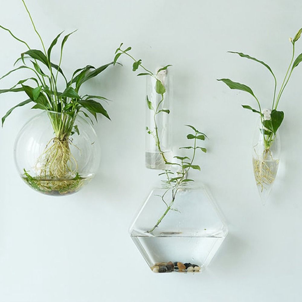 Vaso Idroponico a Forma Irrego - Hydroponic Grow Pod recensione e prezzo