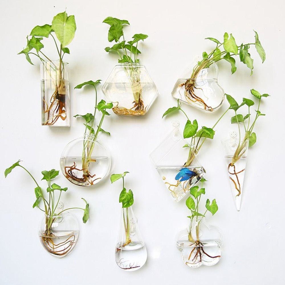 Vaso Idroponico a Forma Irrego - Hydroponic Grow Pod recensione e prezzo