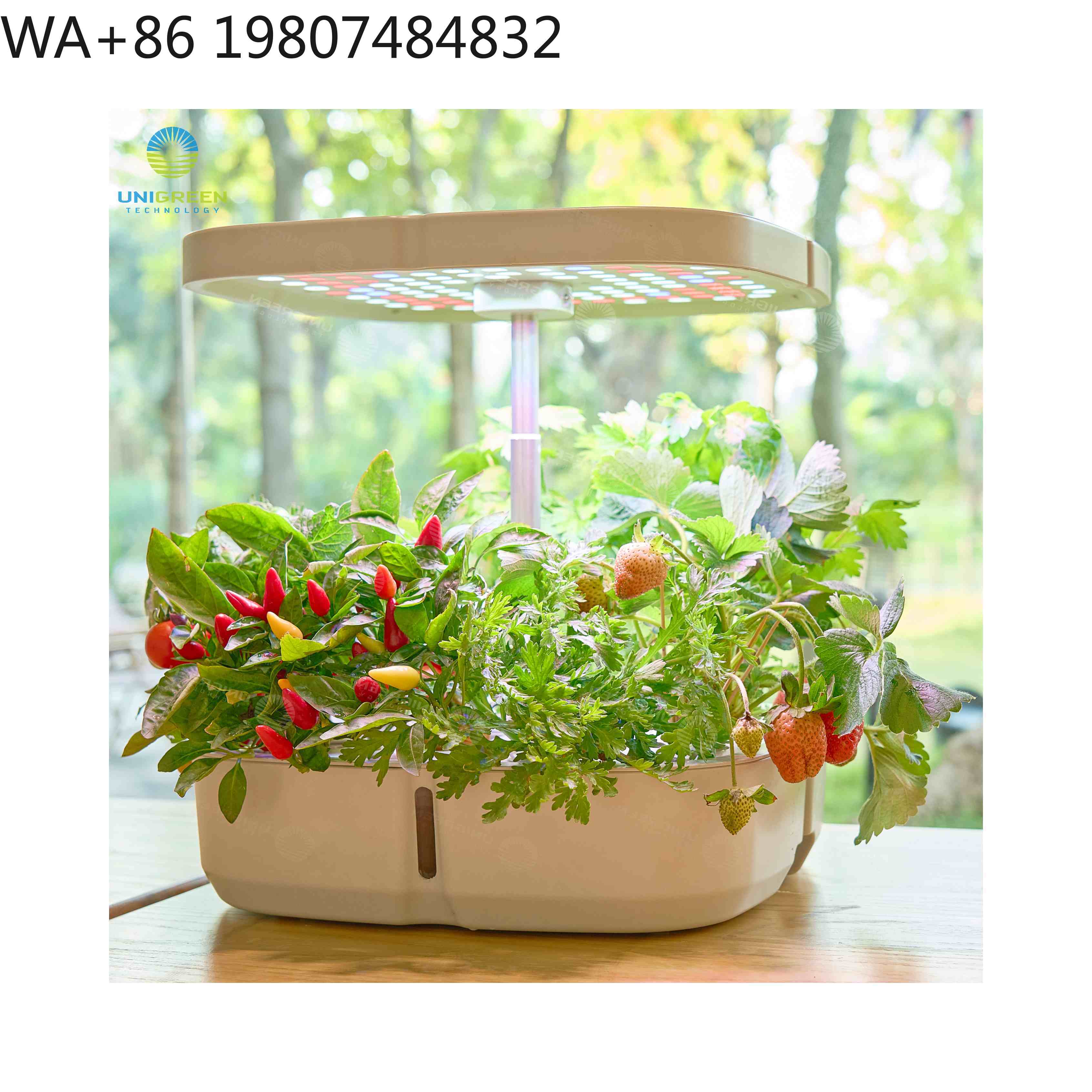 Mini serra idroponica a 8 post - Hydroponic Grow Pod recensione e prezzo