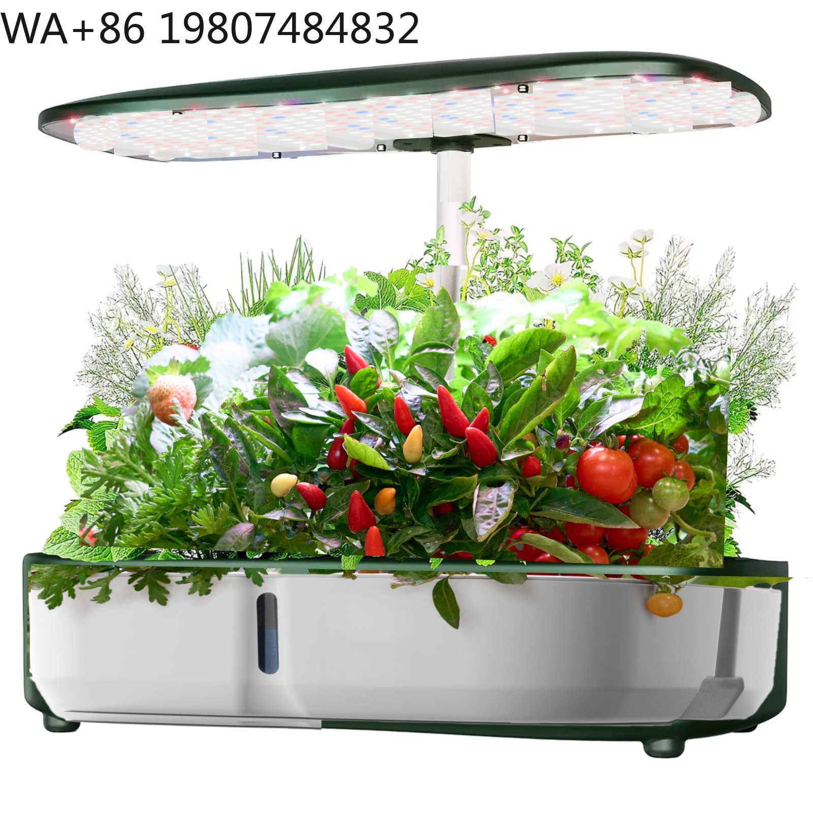 Mini serra idroponica a 8 post - Hydroponic Grow Pod recensione e prezzo