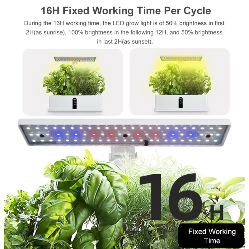 Sistema di Coltivazione Idropo - Smart Garden Usa recensione e prezzo