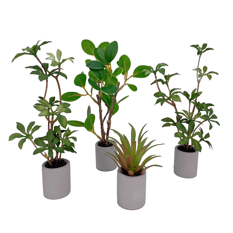 1:6 Casa delle bambole in mini - Smart Garden Mini recensione e prezzo