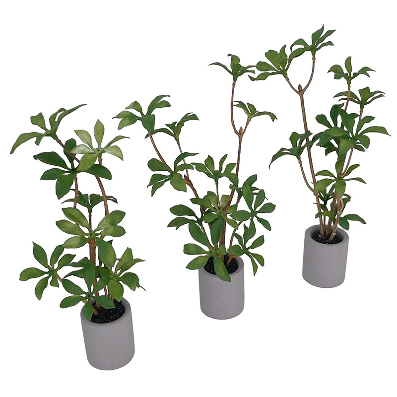 1:6 Casa delle bambole in mini - Smart Garden Mini recensione e prezzo