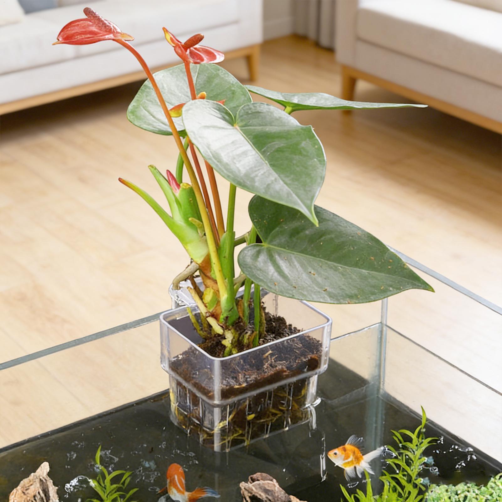 Vaso Trasparente Appendibile p - Hydroponic Grow Pod recensione e prezzo