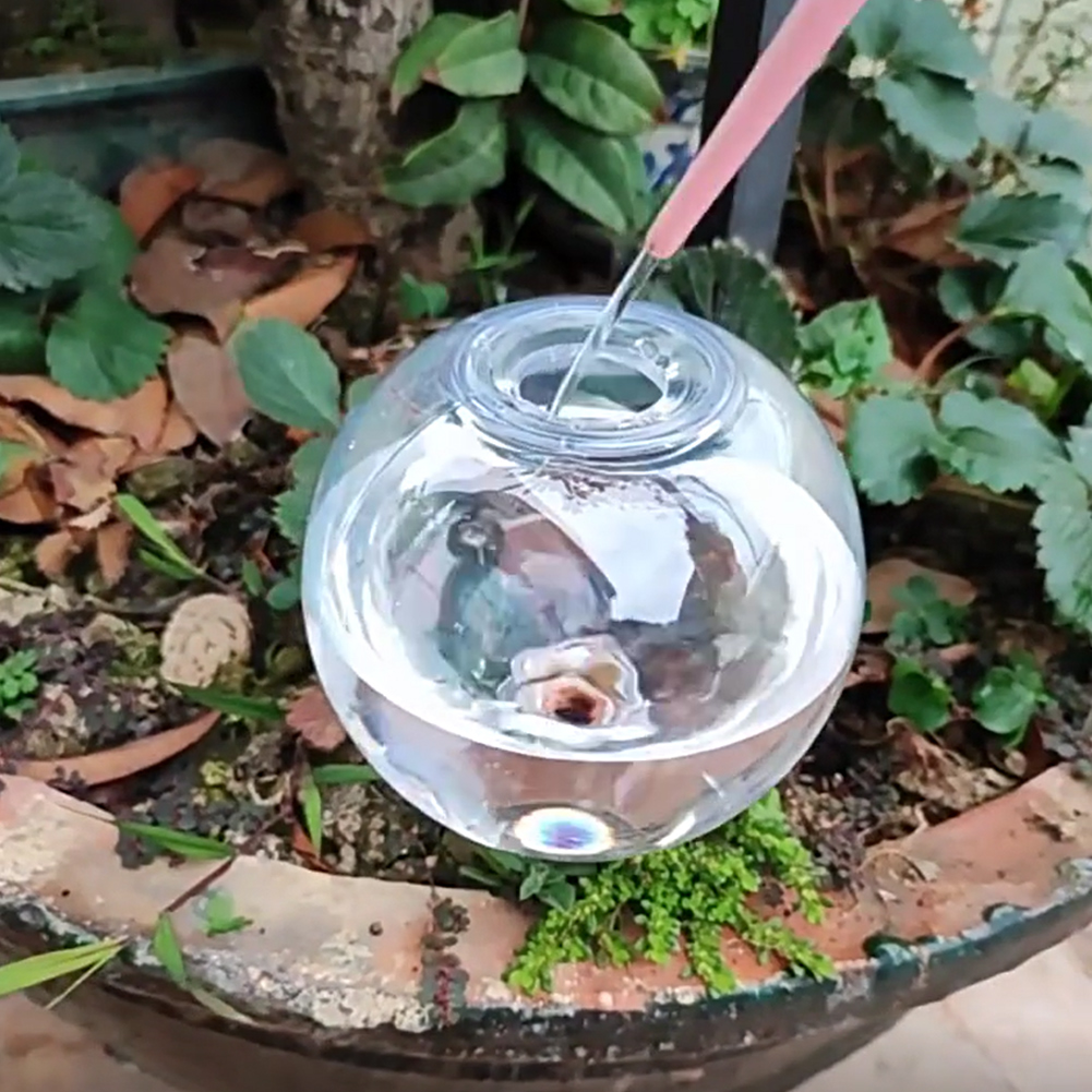 Sistema di irrigazione a gocci - Plant Watering Globe recensione e prezzo