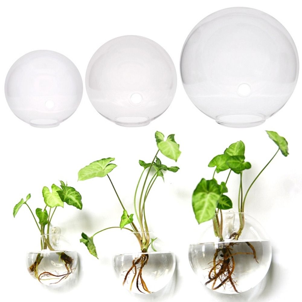 Vaso di vetro trasparente appe - Hydroponic Grow Pod recensione e prezzo