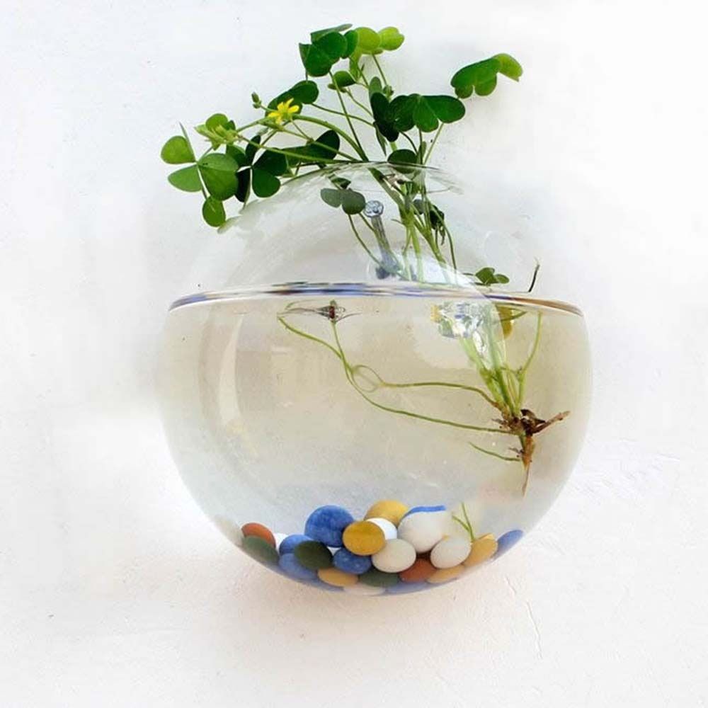 Vaso di vetro trasparente appe - Hydroponic Grow Pod recensione e prezzo