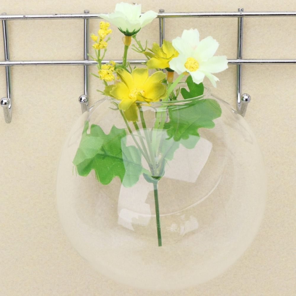 Vaso di vetro trasparente appe - Hydroponic Grow Pod recensione e prezzo
