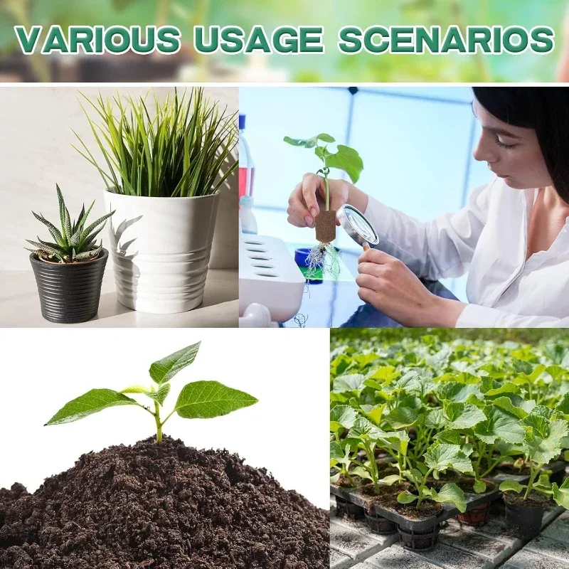 Kit di Spugne per Germinazione - Hydroponic Grow Pod recensione e prezzo