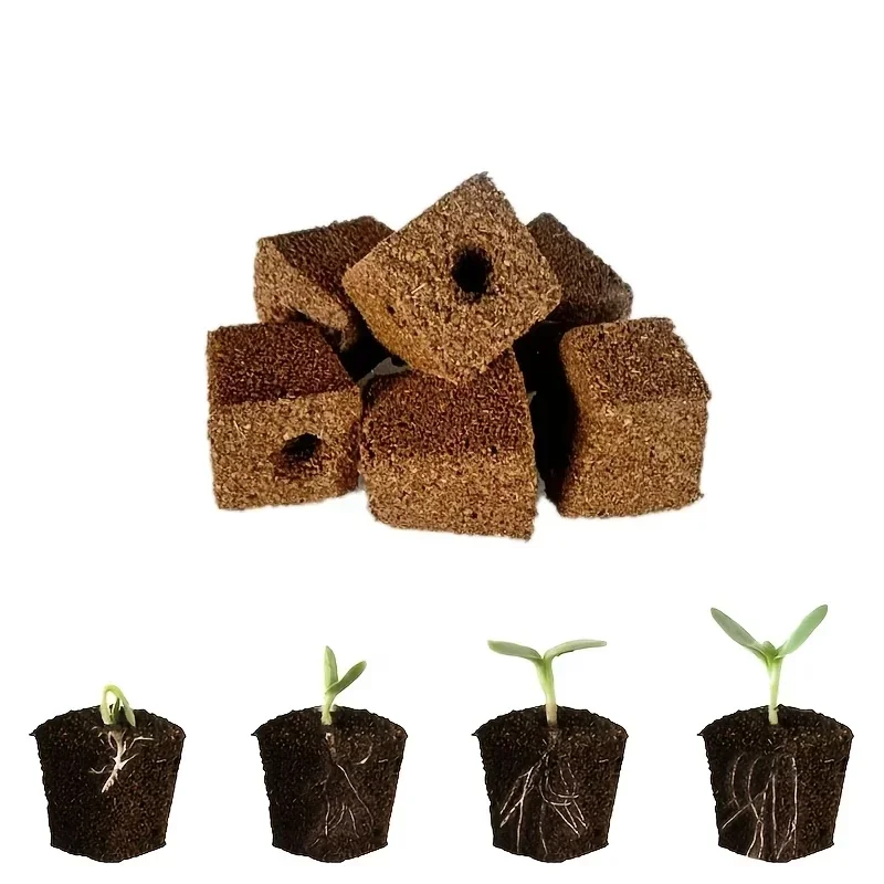 Kit di Spugne per Germinazione - Hydroponic Grow Pod recensione e prezzo