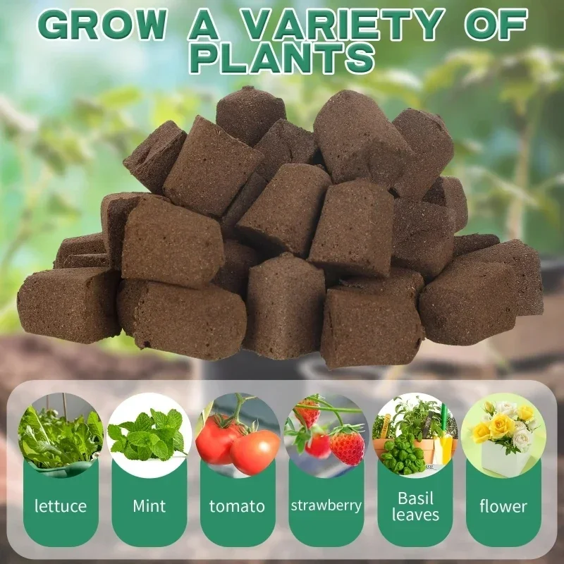 Kit di Spugne per Germinazione - Hydroponic Grow Pod recensione e prezzo