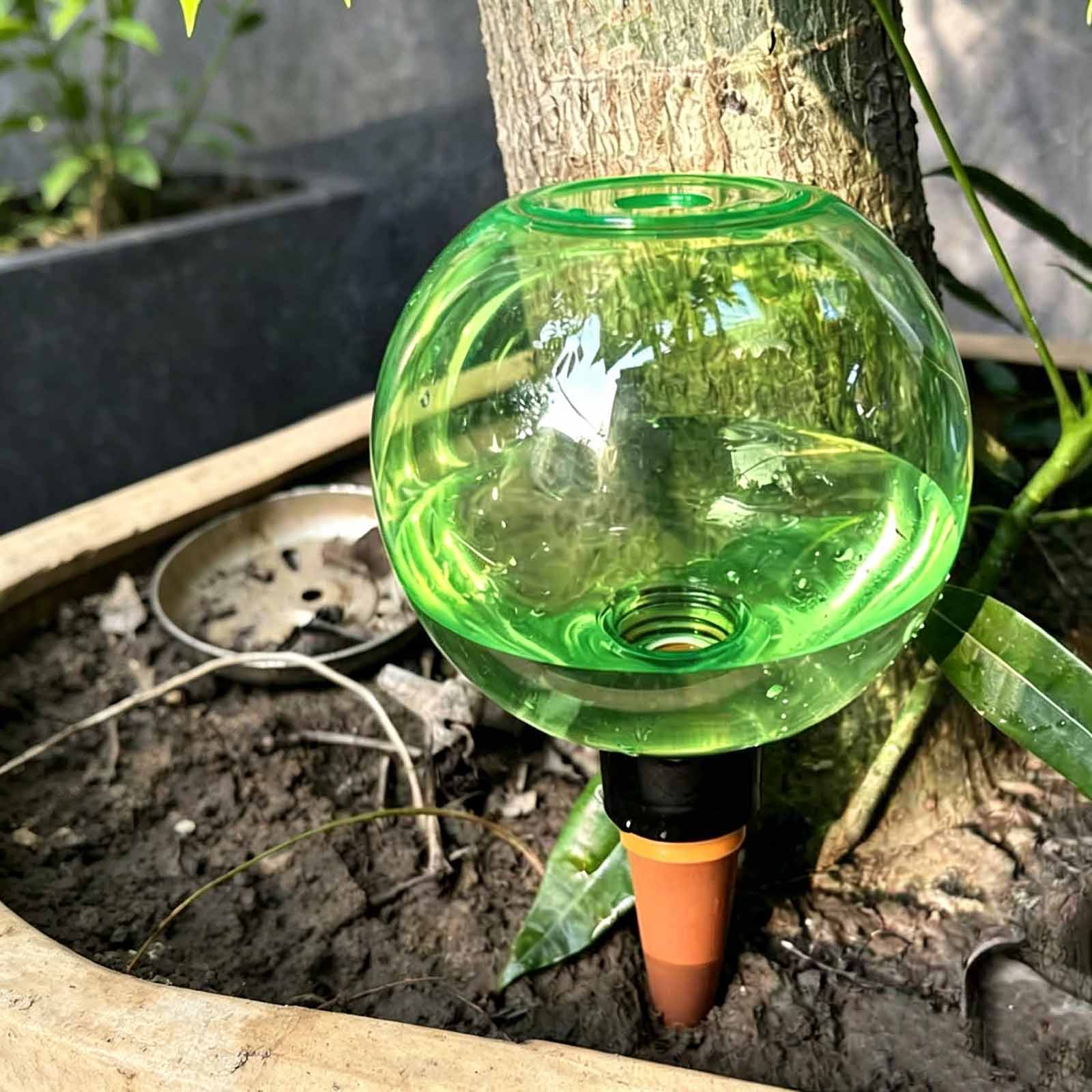 1/4 Pezzi Sfere Irriganti Auto - Plant Watering Globe recensione e prezzo