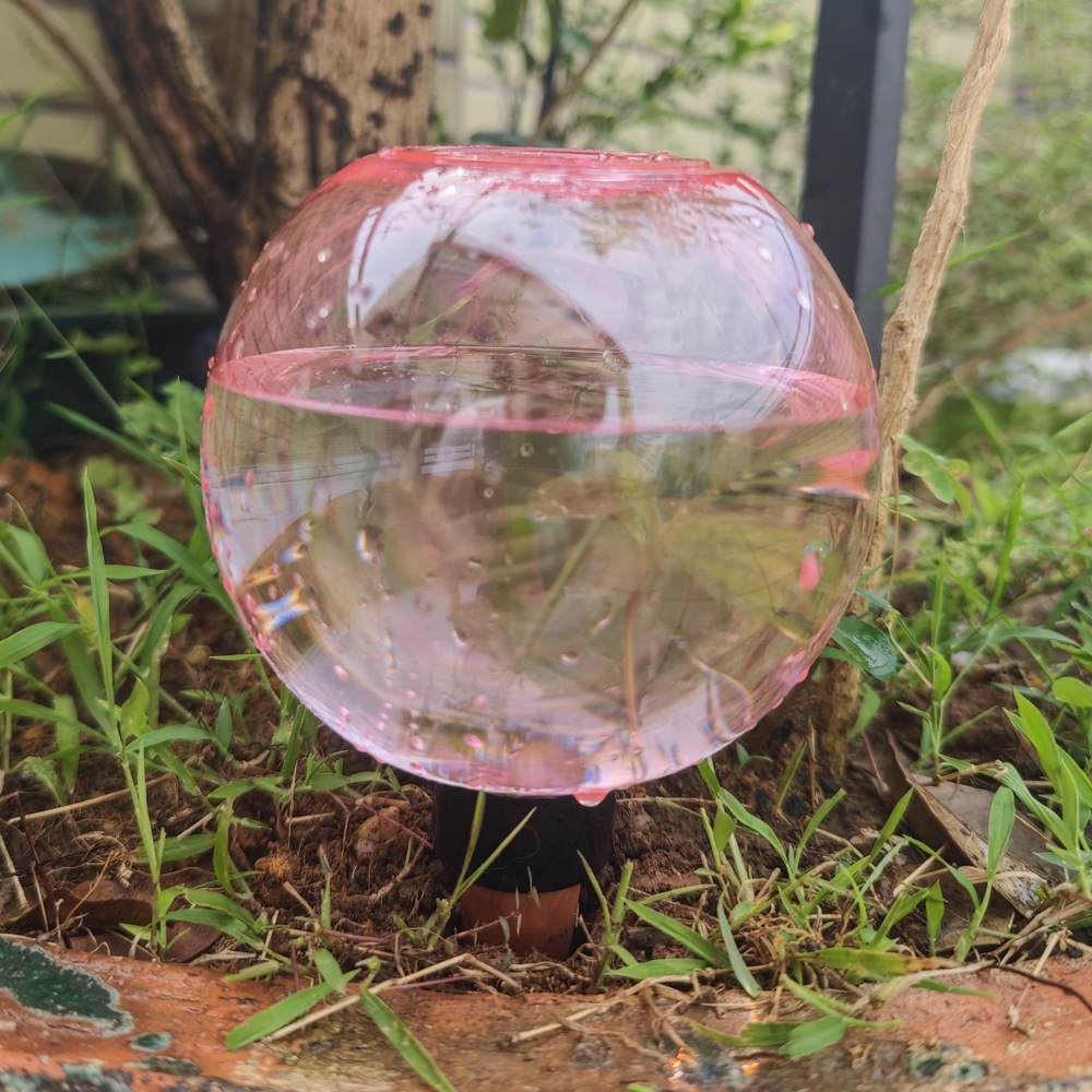 1/4 Pezzi Sfere Irriganti Auto - Plant Watering Globe recensione e prezzo