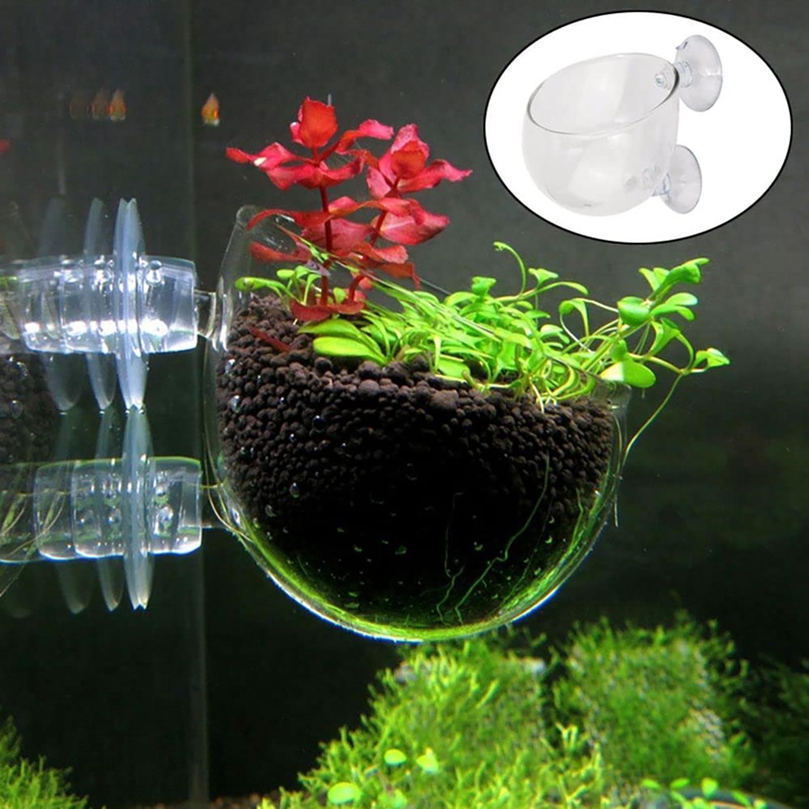 Vaso per piante acquatiche Fio - Hydroponic Grow Pod recensione e prezzo