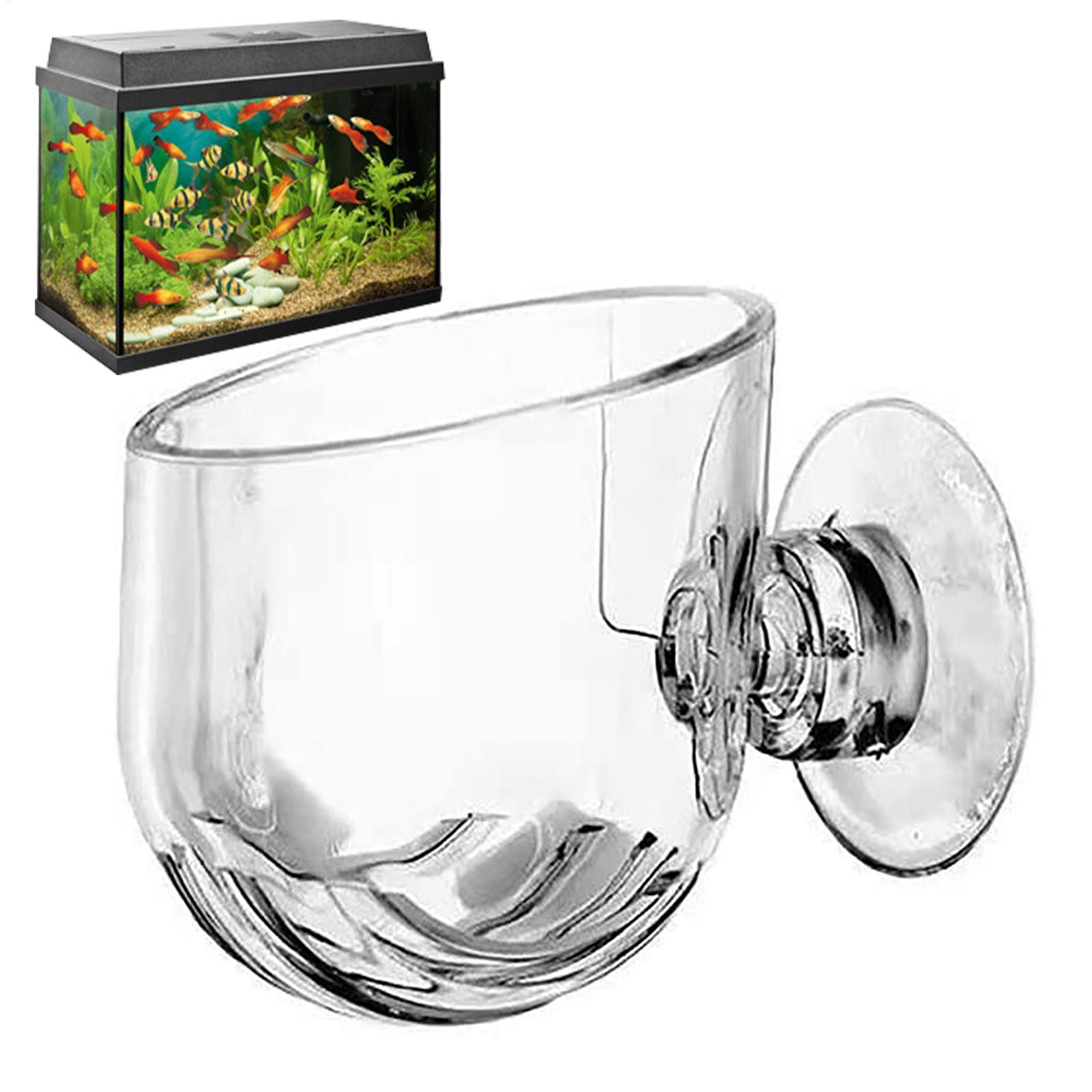 Vaso per piante acquatiche Fio - Hydroponic Grow Pod recensione e prezzo