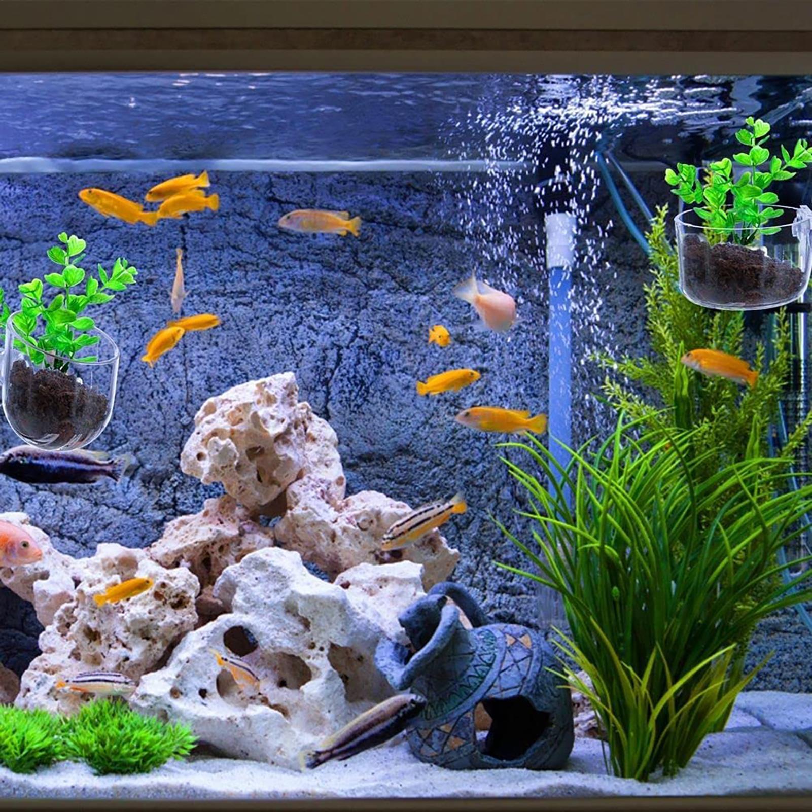 Vaso per piante acquatiche Fio - Hydroponic Grow Pod recensione e prezzo