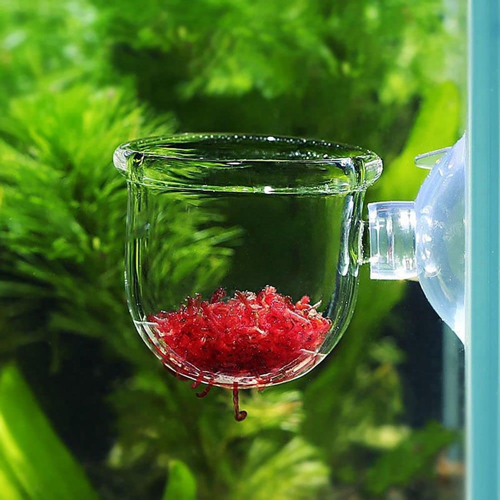Vaso per piante acquatiche Fio - Hydroponic Grow Pod recensione e prezzo