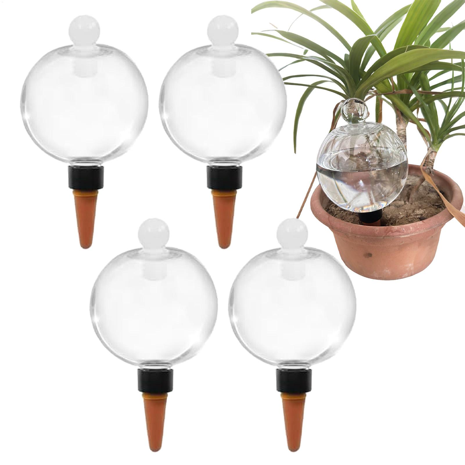 Set di 4 Sfere in Plastica per - Plant Watering Globe recensione e prezzo