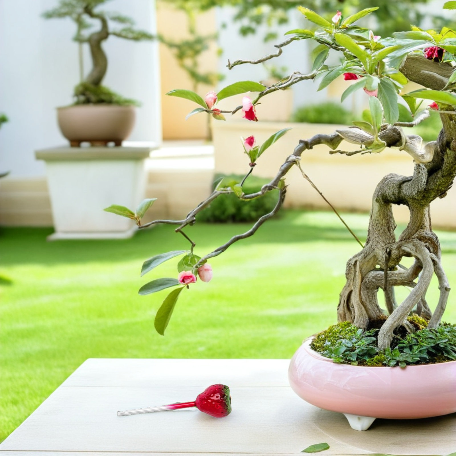2 Pezzi di Globi in Vetro per  - Plant Watering Globe recensione e prezzo