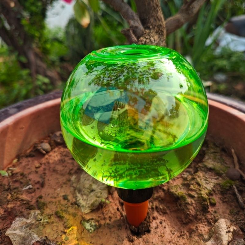Set di 3 Grandi Sfere Autoirri - Plant Watering Globe recensione e prezzo