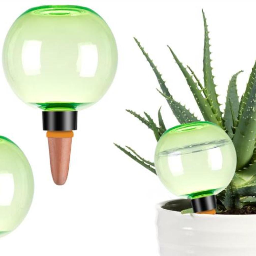 Set di 3 Grandi Sfere Autoirri - Plant Watering Globe recensione e prezzo