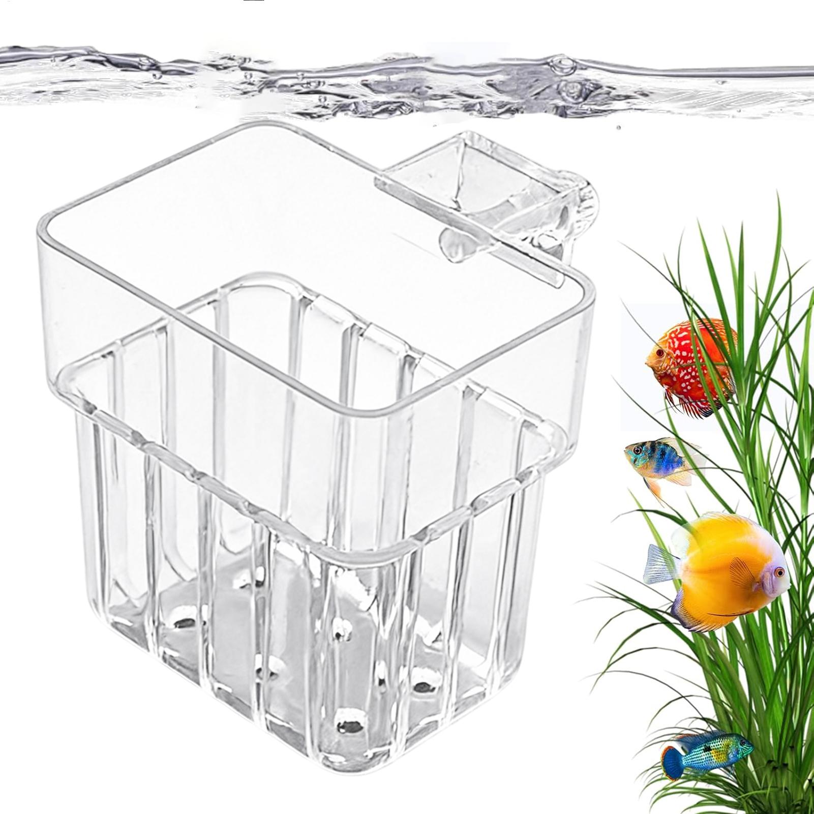 Supporto Trasparente per Piant - Hydroponic Grow Pod recensione e prezzo