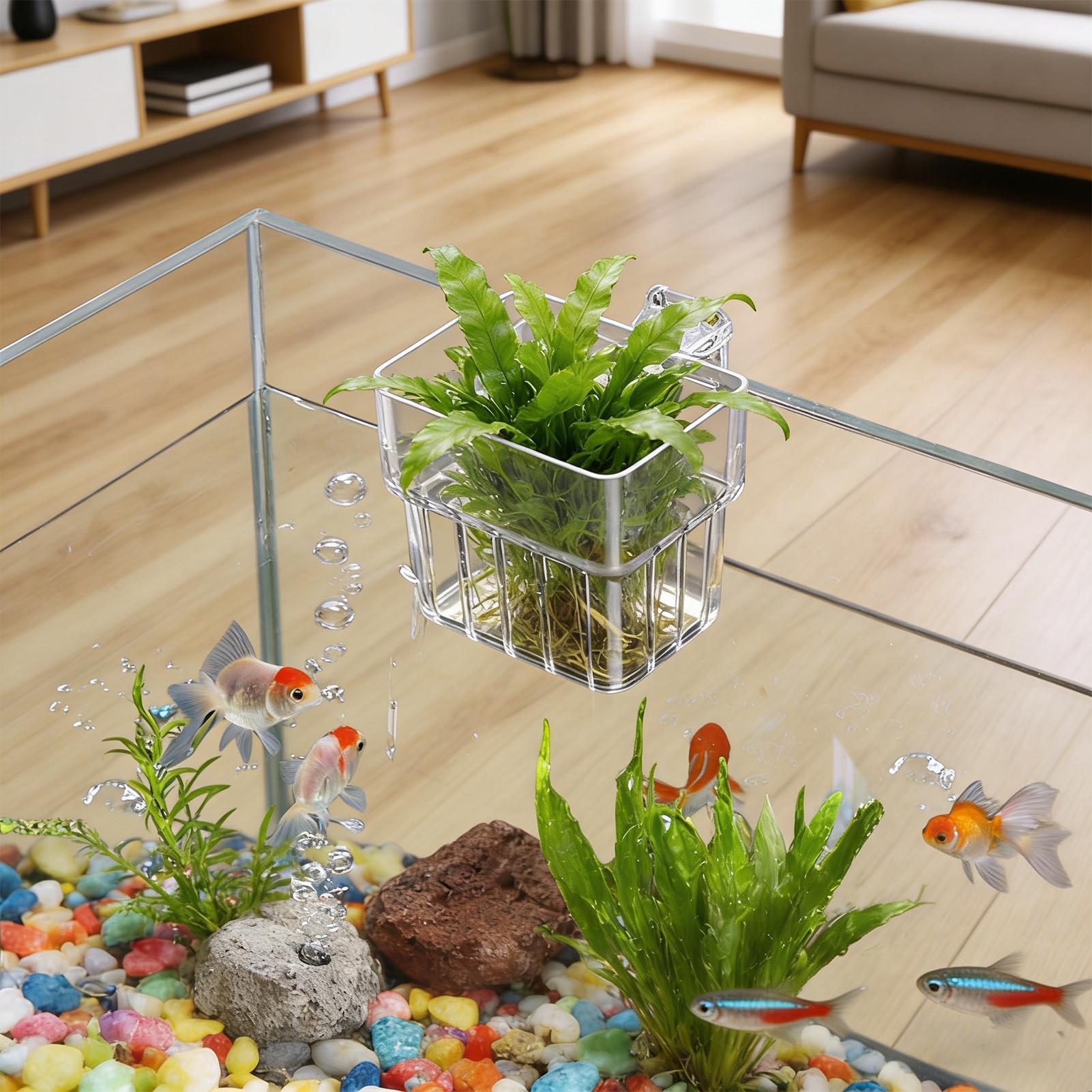 Supporto Trasparente per Piant - Hydroponic Grow Pod recensione e prezzo