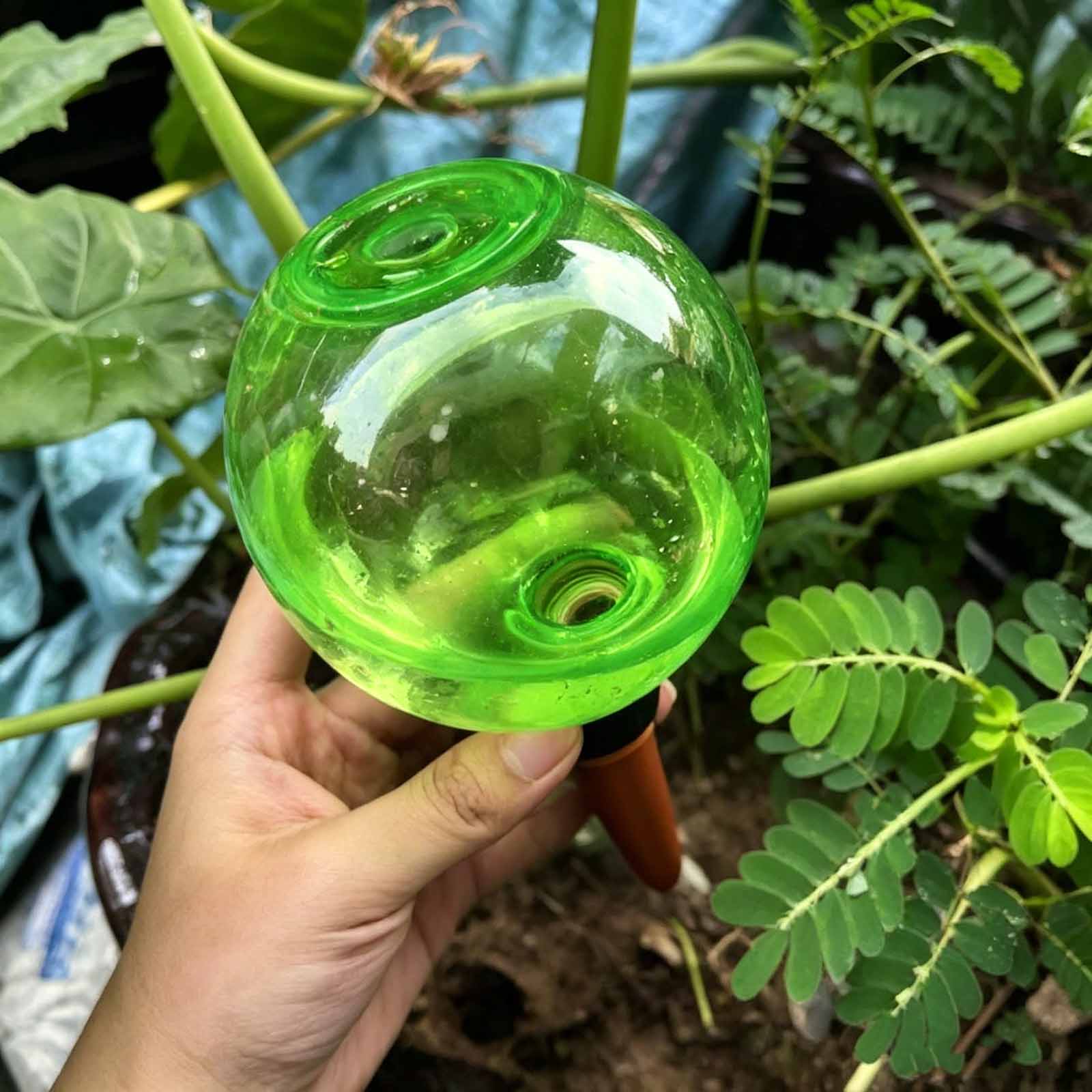 1/4 Pezzi Globi Autoirriganti  - Plant Watering Globe recensione e prezzo