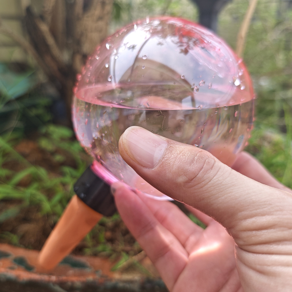 1/4 Pezzi Globi Autoirriganti  - Plant Watering Globe recensione e prezzo
