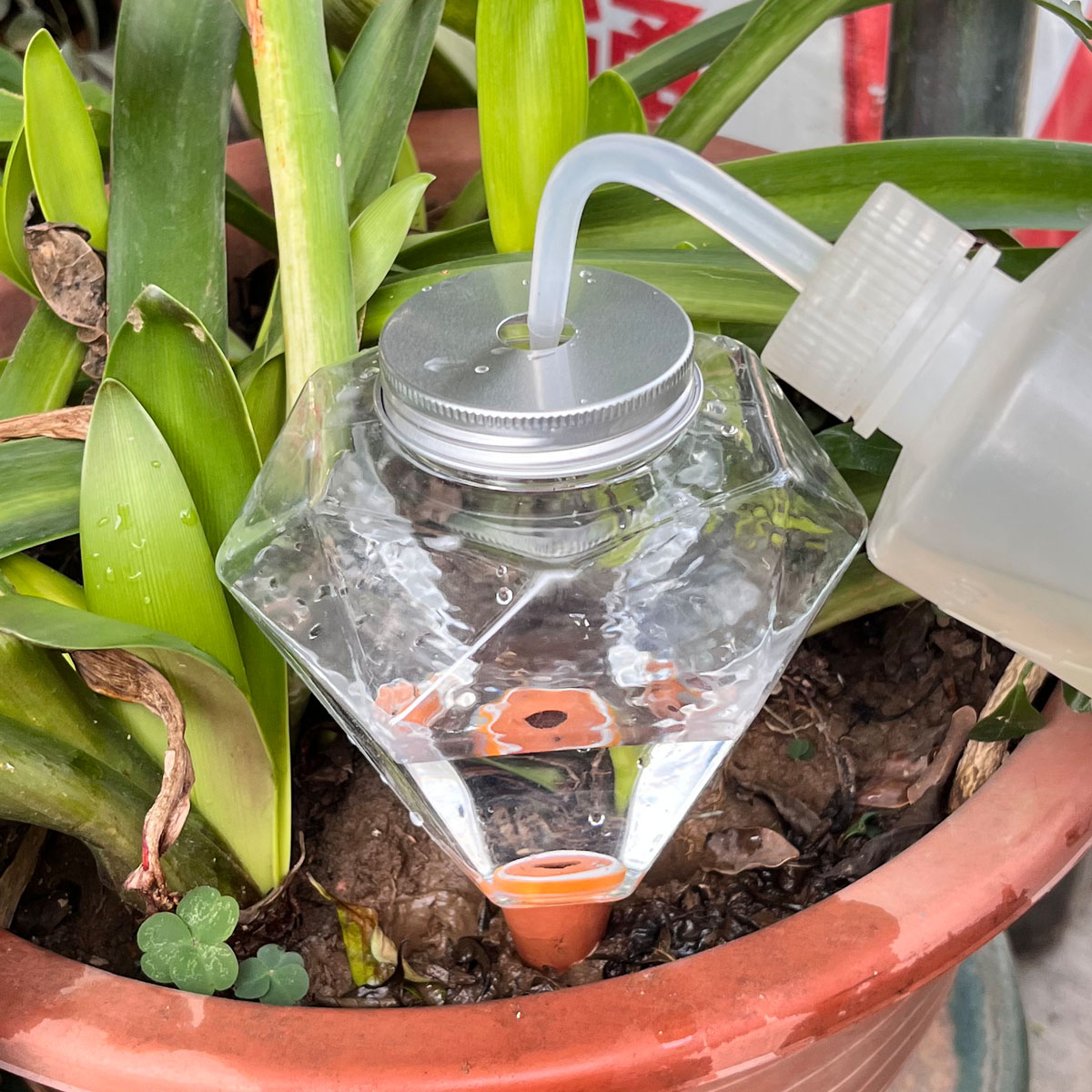 1 pz. Simpatico irrigatore aut - Plant Watering Globe recensione e prezzo