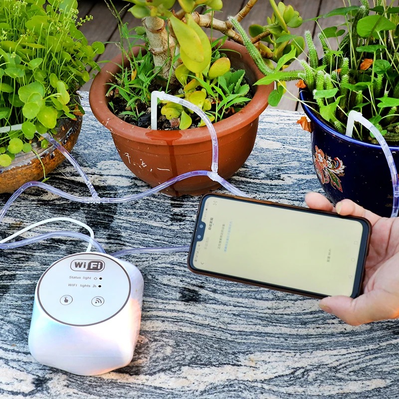 Wifi Lazy set di irrigazione a - Smart Garden Keeper recensione e prezzo