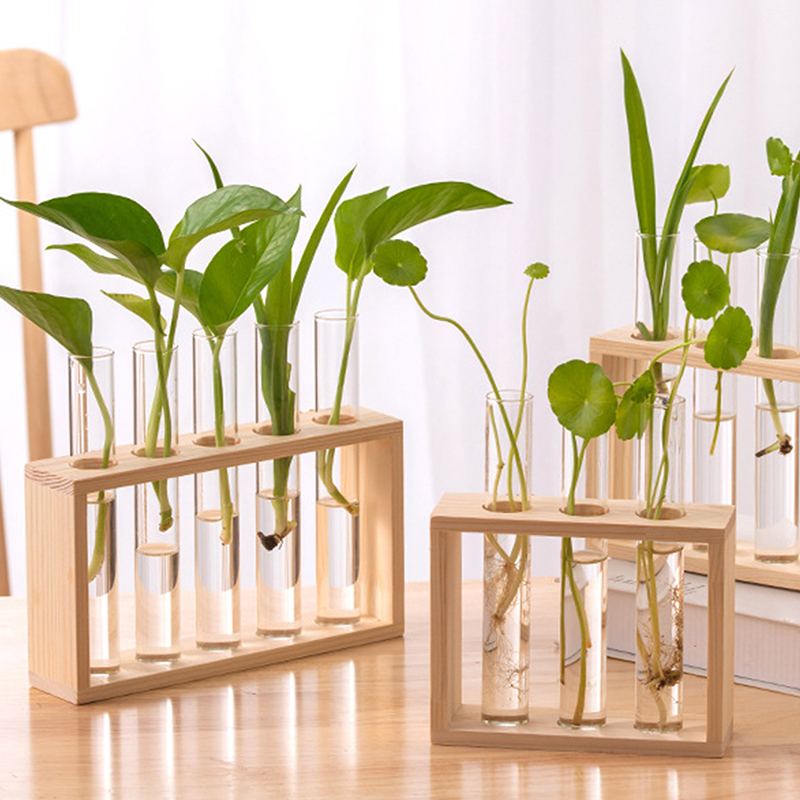 Contenitore per piante idropon - Hydroponic Grow Pod recensione e prezzo