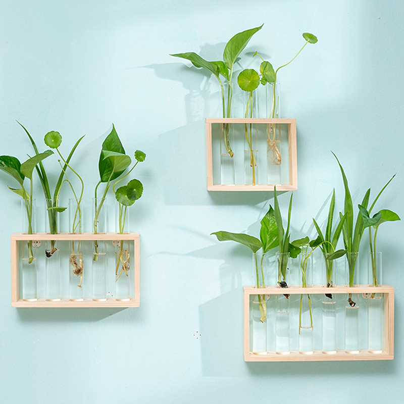 Contenitore per piante idropon - Hydroponic Grow Pod recensione e prezzo