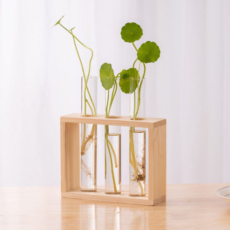 Contenitore per piante idropon - Hydroponic Grow Pod recensione e prezzo