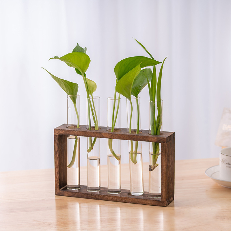 Contenitore per piante idropon - Hydroponic Grow Pod recensione e prezzo