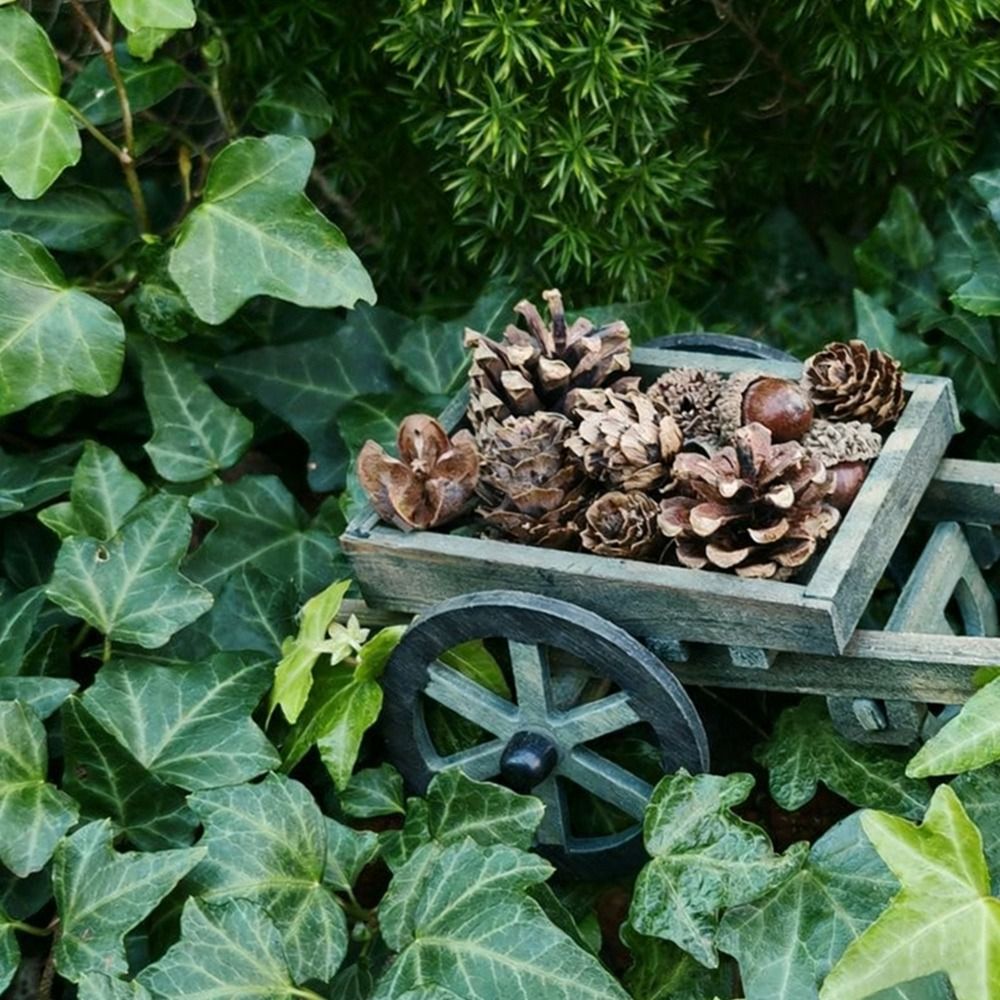 Di alta Qualità Scala 1:12 Cas - Smart Garden Mini recensione e prezzo