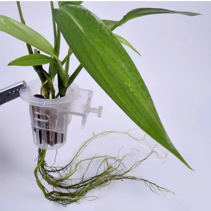 Cesto per piantare acquario Su - Hydroponic Grow Pod recensione e prezzo